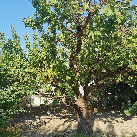 Villa Dans Le Sud Lunel  Extérieur photo