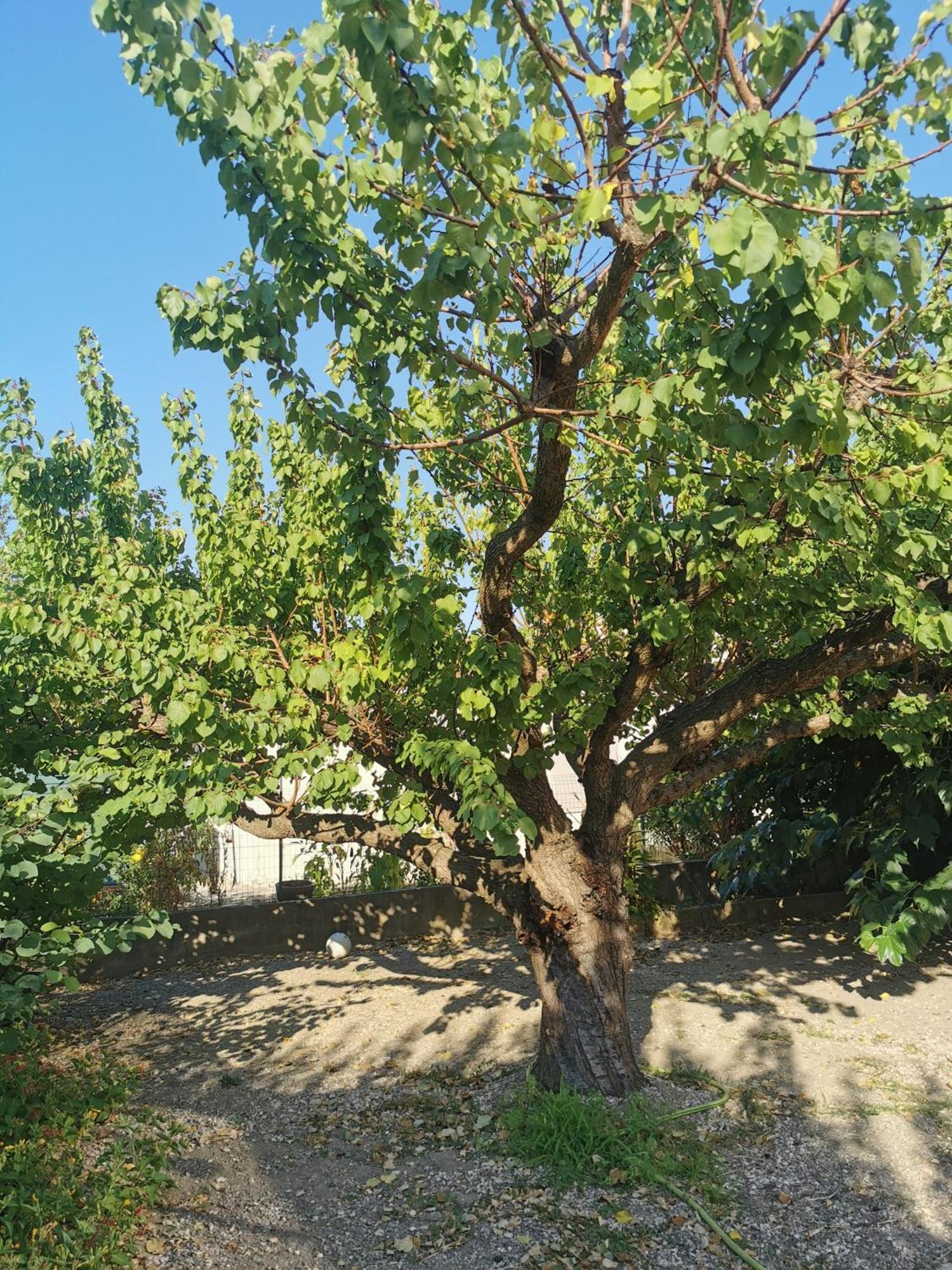 Villa Dans Le Sud Lunel  Extérieur photo
